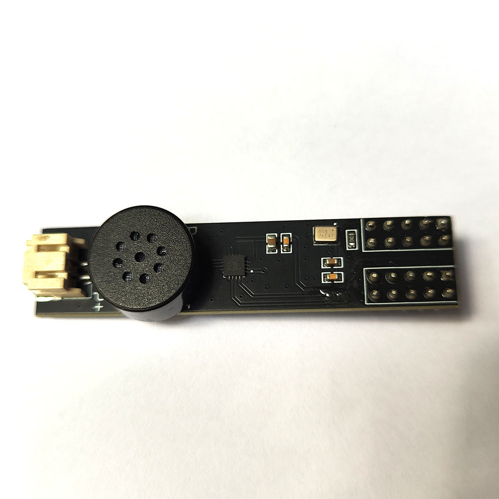 Speech recognition module for Watch Adeline