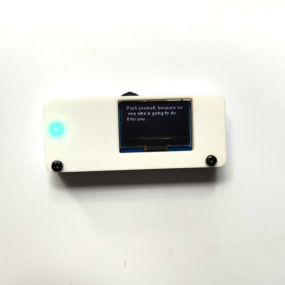 DSTIKE ESP32 Zen Machine | Password Reminder